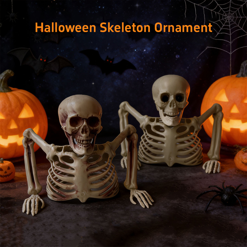 Horror Half Skelet Schedel Orn - Halloween Skeleton Decoration recensie en prijs